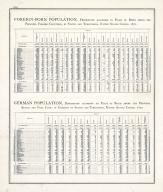 Statistics - Foreign Born Population, German Population - Page 219, Illinois State Atlas 1876